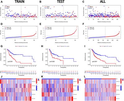 Identification and validation of a novel cuproptosis-related lncRNA signature for prognosis and immunotherapy of head and neck squamous cell carcinoma